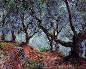 克劳德莫奈 - Grove of Olive Trees in Bordighera